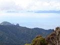 View from Moehau
