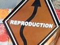 Sexuality Road programme, 2009