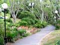 Waikato University campus pathway