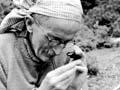 Norman Elder