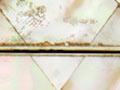 Calling card and case