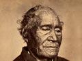 Tāmati Wāka Nene