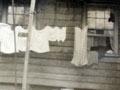 Sub-standard housing, Auckland, 1951
