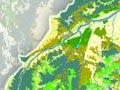 31705-enz-th.jpg