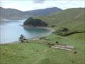 31810-enz-th.jpg