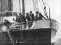 Pelorus Jack