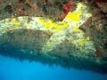 Wreck of the <em>Mikhail Lermontov</em>