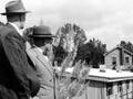 Council flats: Auckland, 1954  