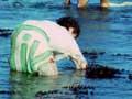 Woman wading in thigh-deep water along a rocky coast