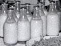Dairy assistance
