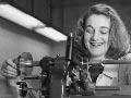 Women in the public service: Second World War
