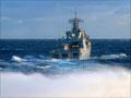 Joint training exercise, August 2008