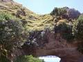 Arched rock, Tolaga Bay: 2011
