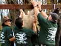Tiniroto game hunt