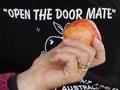 Forbidden-fruit protest, 2005