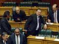 Māori MPs, 2005