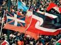 Tino rangatiratanga flag: one among many