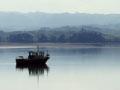 Kāwhia: harbour, autumn 2011