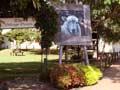 Piopio village green