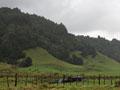 Hills, bush and farms