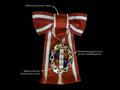 New Zealand design elements: women's Order of New Zealand badge