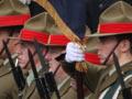 Governor-General Jerry Mateparae inspecting the armed forces guard of honour, 2011