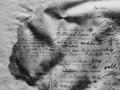 Treaty of Waitangi before conservation