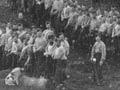 Government troops at Parihaka