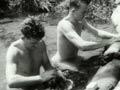 36234-enz-th.jpg