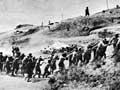 Māori soldiers at Plugge's Plateau