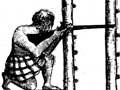 Taurangaika pā