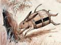 'Brewer Rabbit' and the prohibitionist hounds