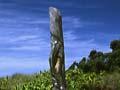 Pou whenua on Raoul Island