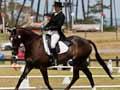 Eventing: dressage