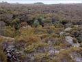 Tin mining: tailings
