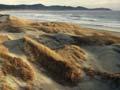 Dunes at Mason Bay