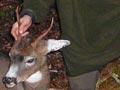 Hunter with deer 
