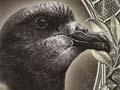 Chatham Islands banknotes