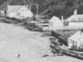 Native Land Court, Waitangi