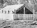 Mahuta's residence, 1903