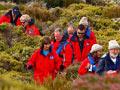 Tourists on Enderby Island