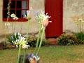 Riverlands cob cottage
