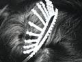 Lucy Lawless, Mrs New Zealand 1989