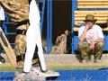 Cricket in Afghanistan, June 2011