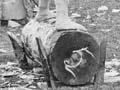 Wood chopping competition, Étaples, 1918