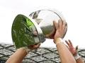 Cup winners, 2011