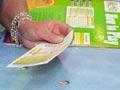 Playing Keno 