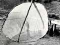 Fishing for whitebait, 1929
