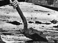Beachcombing, 1907