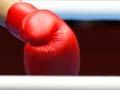 Women boxers, 2012